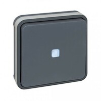 Mécanisme bouton poussoir lumineux compos gris 10A IP55