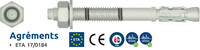 GOUJON à Expansion R-XPTII ZF revêtu du Zinc Flocon